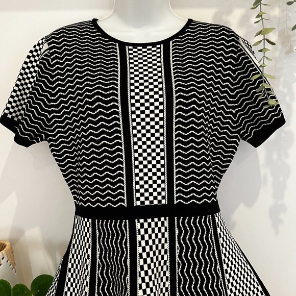 ZARA WOMENS SIZE M SHORT SLEEVE DRESS BLACK / WHITE BNWT (22-093) - Picture 5 of 15